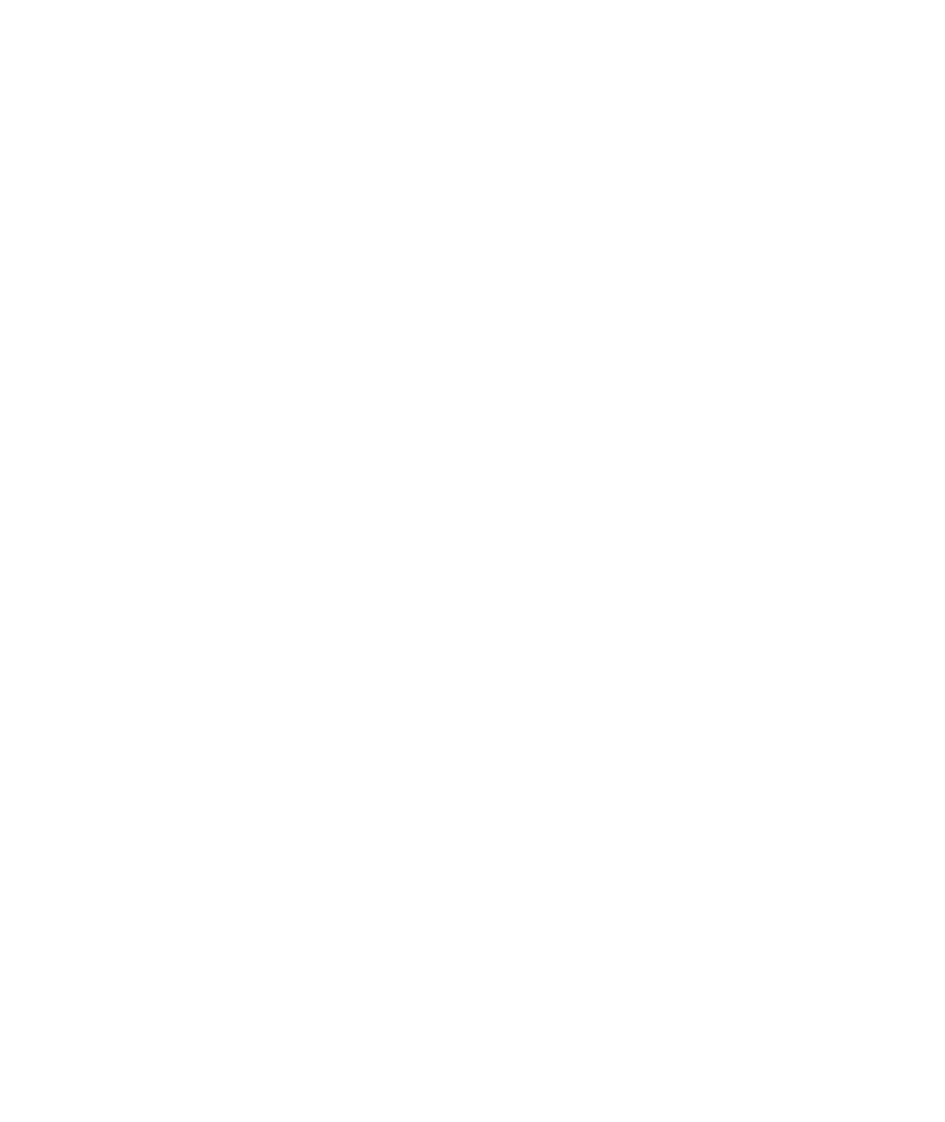 NYHH EXTENSIONS